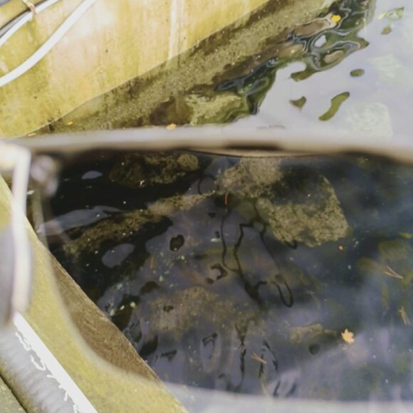 Fishing glasses - Picture 7 of 9